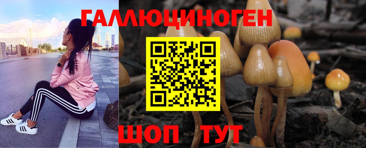 Псилоцибиновые грибы прущие грибы  Вход с VPN  Карабулак  Псилоцибиновые грибы мухоморы 